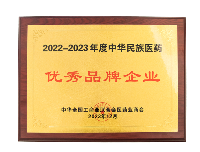 2022-2023年度 中華民族醫藥優秀民族品牌企業.png